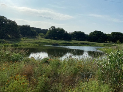 Hunting Land for Sale in Texas - 528 Acres in Coryell County - image 17