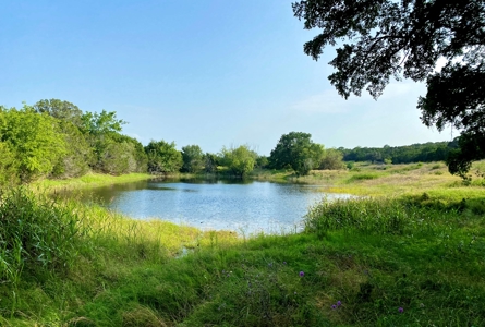 Hunting Land for Sale in Texas - 528 Acres in Coryell County - image 8