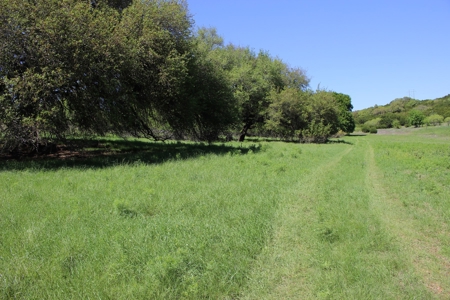 Hunting Land for Sale in Texas - 528 Acres in Coryell County - image 48