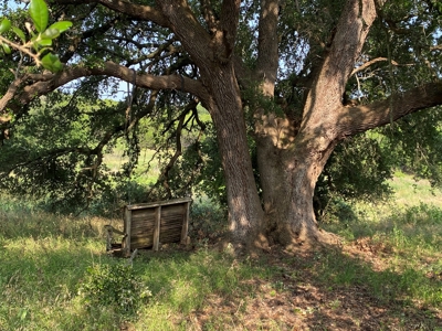 Hunting Land for Sale in Texas - 528 Acres in Coryell County - image 29