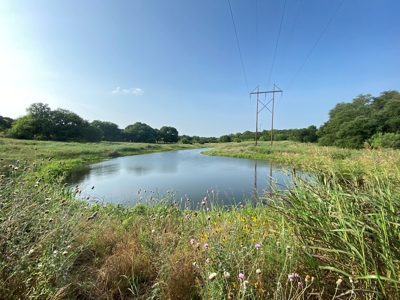 Hunting Land for Sale in Texas - 528 Acres in Coryell County - image 19