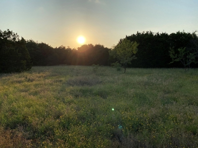 Hunting Land for Sale in Texas - 528 Acres in Coryell County - image 46