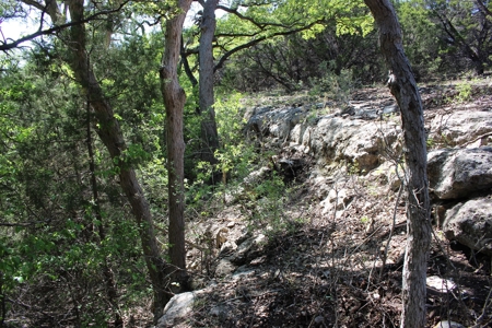 Hunting Land for Sale in Texas - 528 Acres in Coryell County - image 15