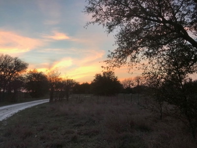 Hunting Land for Sale in Texas - 528 Acres in Coryell County - image 31