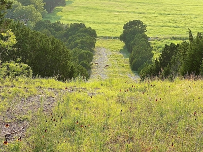 Hunting Land for Sale in Texas - 528 Acres in Coryell County - image 37