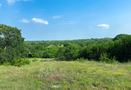 Hunting Land for Sale in Texas - 528 Acres in Coryell County - image 42