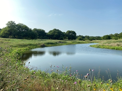 Hunting Land for Sale in Texas - 528 Acres in Coryell County - image 44