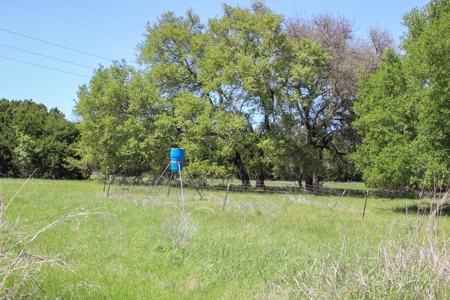 Hunting Land for Sale in Texas - 528 Acres in Coryell County - image 22