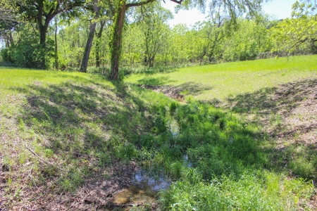Hunting Land for Sale in Texas - 528 Acres in Coryell County - image 32