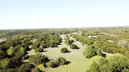 Hunting Land for Sale in Texas - 528 Acres in Coryell County - image 10