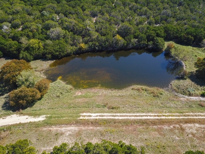 Hunting Land for Sale in Texas - 528 Acres in Coryell County - image 40