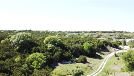 Hunting Land for Sale in Texas - 528 Acres in Coryell County - image 21