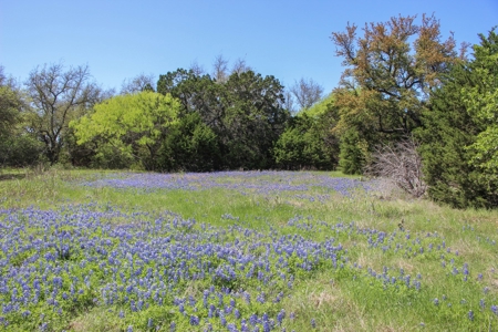 Hunting Land for Sale in Texas - 528 Acres in Coryell County - image 33