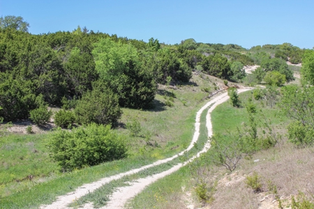 Hunting Land for Sale in Texas - 528 Acres in Coryell County - image 6
