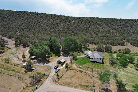 Horse Property with Custom Home, Irrigation and Guest Home - image 39