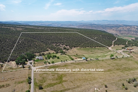 Horse Property with Custom Home, Irrigation and Guest Home - image 37