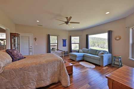 Horse Property with Custom Home, Irrigation and Guest Home - image 14