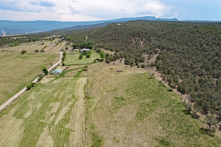 Horse Property with Custom Home, Irrigation and Guest Home - image 40