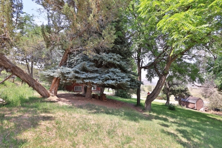 Horse Property with Custom Home, Irrigation and Guest Home - image 27