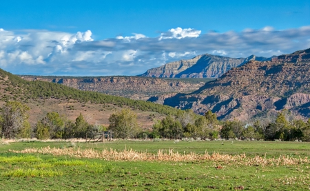 36 Acres - Mesa, Colorado - Security Freedom, - image 33