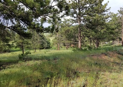 Camp or Build on This Beautiful Mountain Lot - image 22