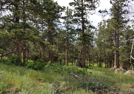 Camp or Build on This Beautiful Mountain Lot - image 6