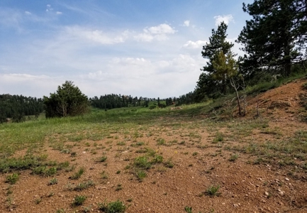 Camp or Build on This Beautiful Mountain Lot - image 8