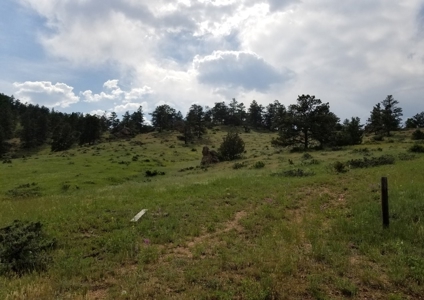 Camp or Build on This Beautiful Mountain Lot - image 1