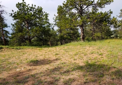 Camp or Build on This Beautiful Mountain Lot - image 16