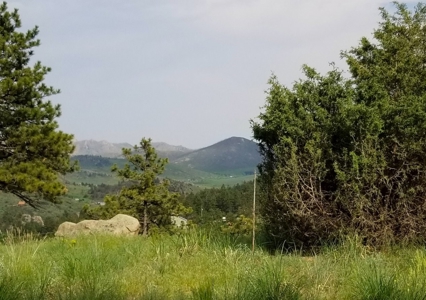 Camp or Build on This Beautiful Mountain Lot - image 14