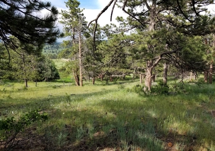 Camp or Build on This Beautiful Mountain Lot - image 23