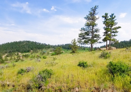 Camp or Build on This Beautiful Mountain Lot - image 7