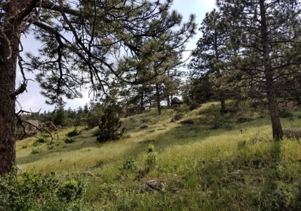Camp or Build on This Beautiful Mountain Lot - image 19
