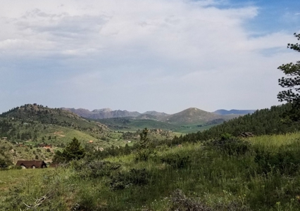 Camp or Build on This Beautiful Mountain Lot - image 25