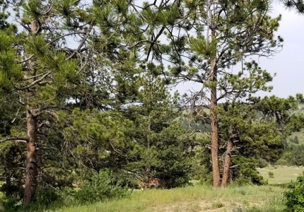 Camp or Build on This Beautiful Mountain Lot - image 11