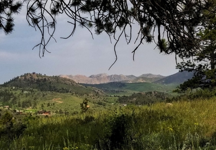 Camp or Build on This Beautiful Mountain Lot - image 10