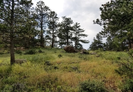 Camp or Build on This Beautiful Mountain Lot - image 20