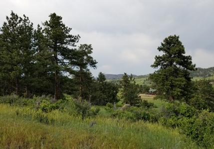 Camp or Build on This Beautiful Mountain Lot - image 5