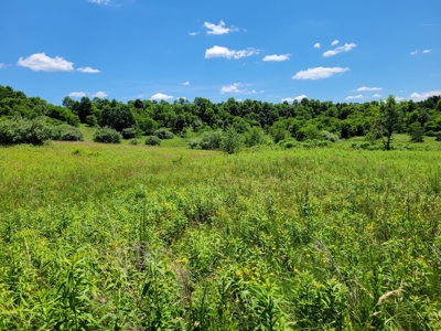 Coshocton County Scenic Views Vacant Land - image 3