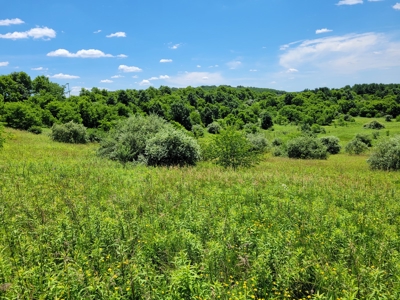 Coshocton County Scenic Views Vacant Land - image 15