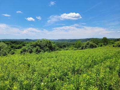 Coshocton County Scenic Views Vacant Land - image 13