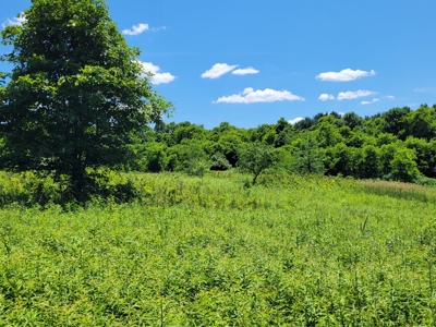 Coshocton County Scenic Views Vacant Land - image 8