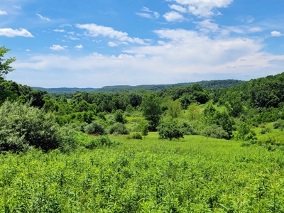 Coshocton County Scenic Views Vacant Land - image 12