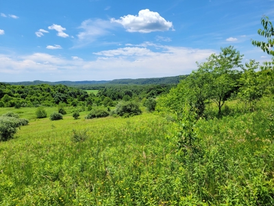 Coshocton County Scenic Views Vacant Land - image 5