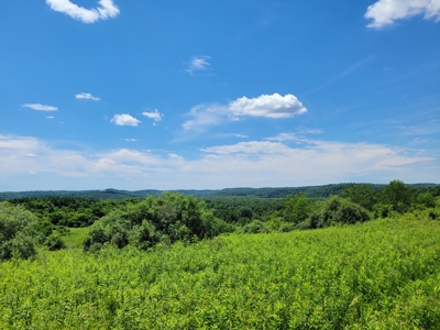 Coshocton County Scenic Views Vacant Land - image 11