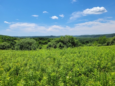 Coshocton County Scenic Views Vacant Land - image 4