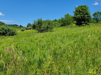 Coshocton County Scenic Views Vacant Land - image 6