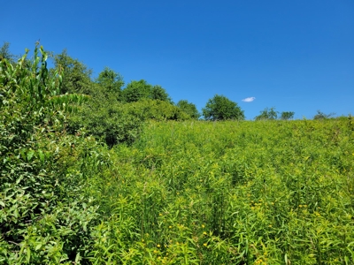 Coshocton County Scenic Views Vacant Land - image 1