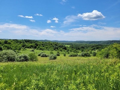 Coshocton County Scenic Views Vacant Land - image 7