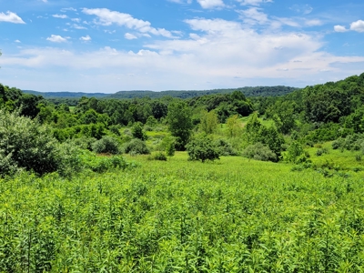 Coshocton County Scenic Views Vacant Land - image 14